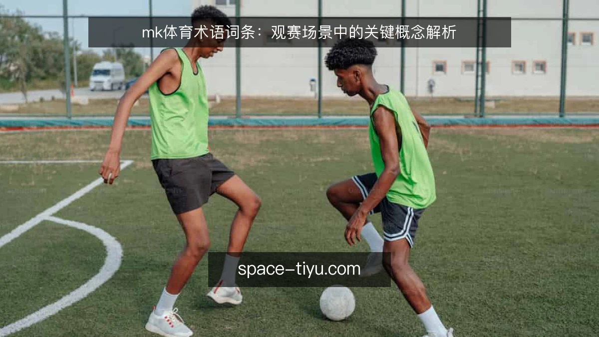 mk体育术语词条:观赛场景中的关键概念解析
