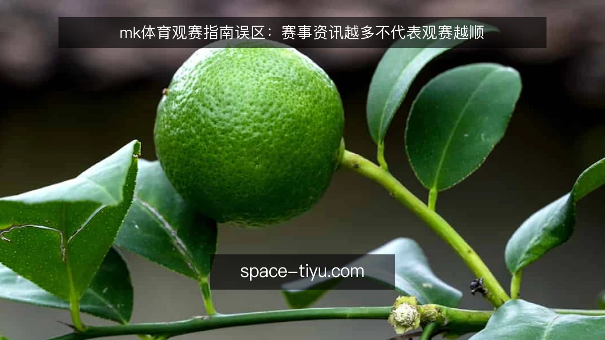 mk体育观赛指南误区：赛事资讯越多不代表观赛越顺